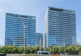 湖南高性价比海藻肥减少病害