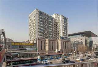 淄博互联网推广活动