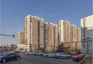 盘锦薏米粉销售